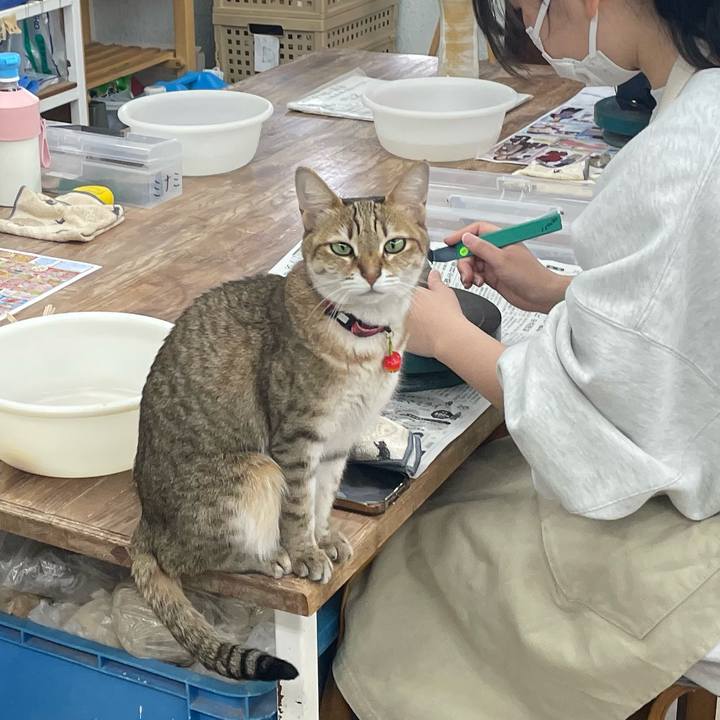 9c7f9be1 9fd1 4b67 8df9 e5d2cdb33f0d 1742822791654