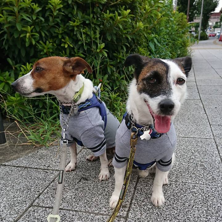 9c7fb61a 6226 4a19 a00f 3d8c01176b48 1597701057376