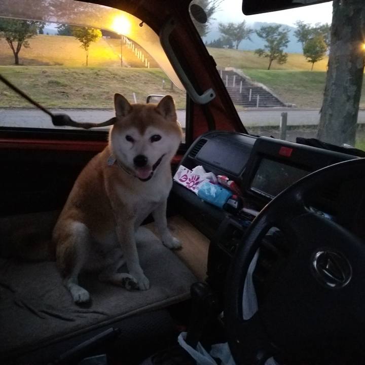 9c7fcd78 074c 433c bb26 0b9d0e71a125 1663319324220