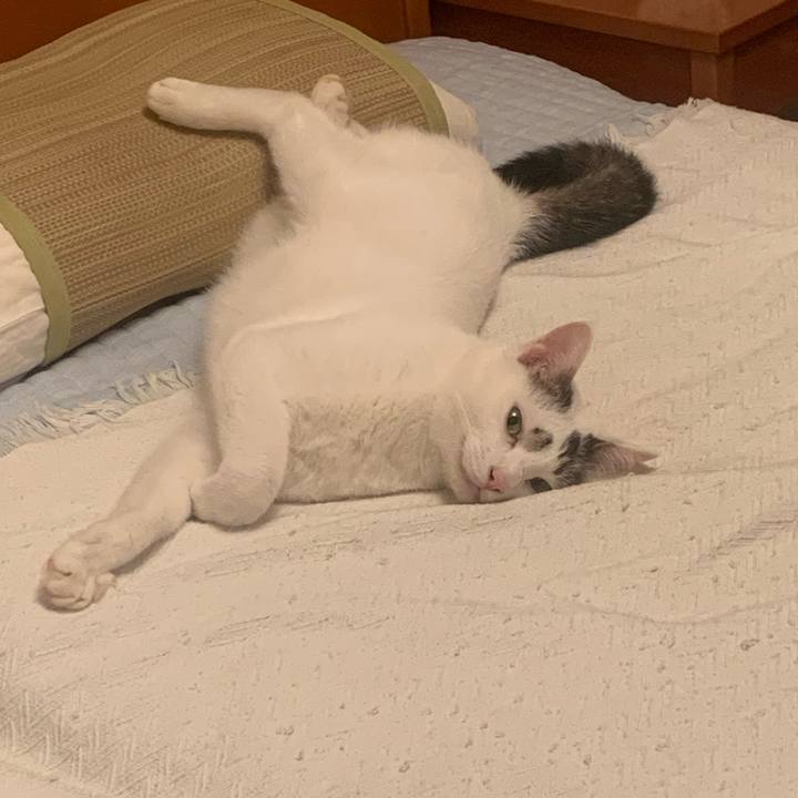 9c7ff95e 119e 424f 8b69 86debf0dc985 1666366067359