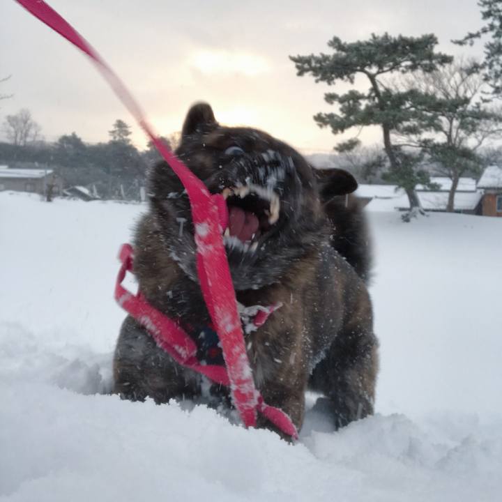 9c80004a 3346 4e89 8ffe d454e331b10f 1517094910639