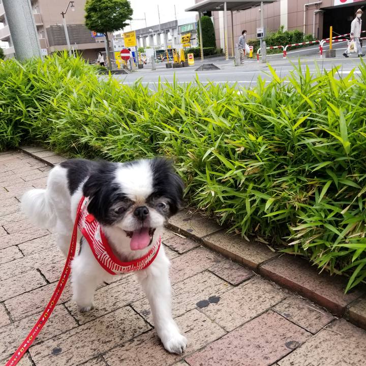 9c805cf6 9637 4794 82ca 530867fbf47a 1590473767956