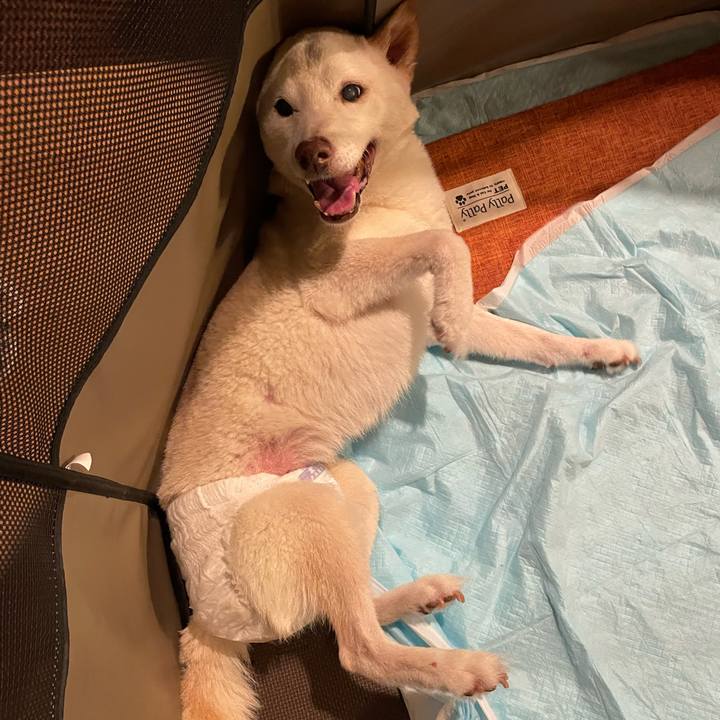 9c808696 a479 4047 b5af ecb95d28ca2a 1664895048302