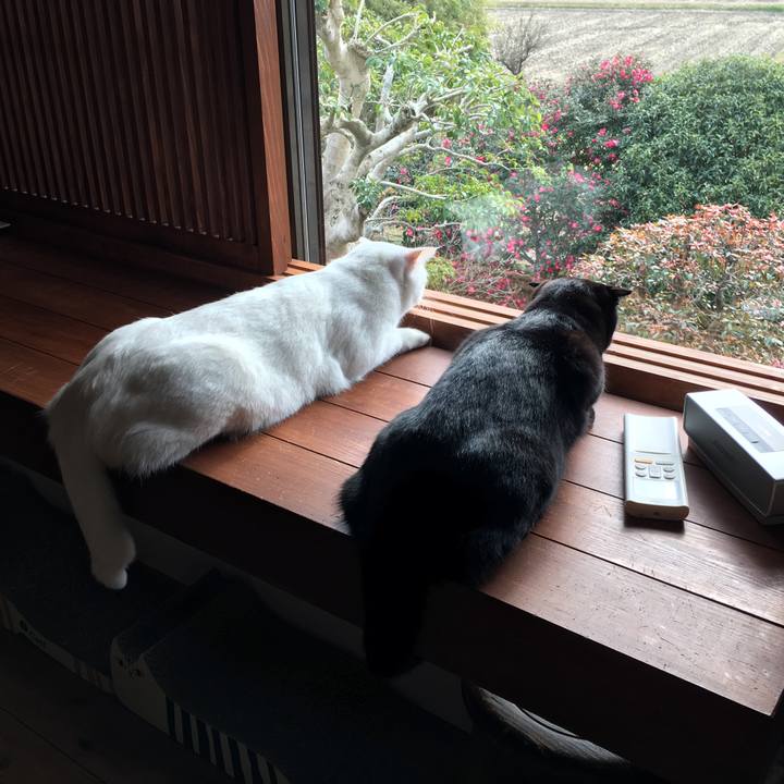 9c80b4a2 3fda 41c8 864d fb4b9f650614 1514256641138