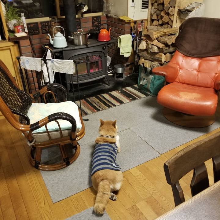 9c80baec 3a9c 4aee a806 306b437b7f82 1613294015044