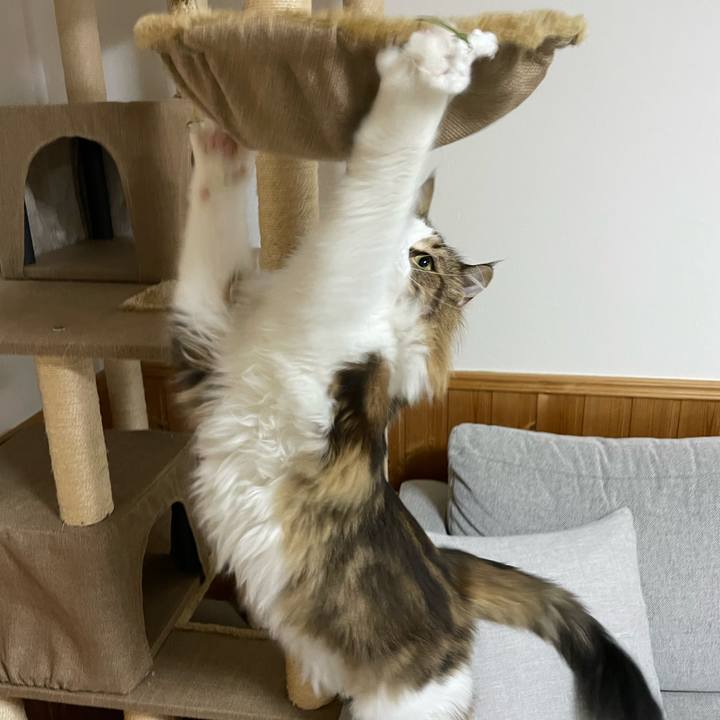 9c80f0cf c749 4c3b b8d1 9713442af784 1670189028332