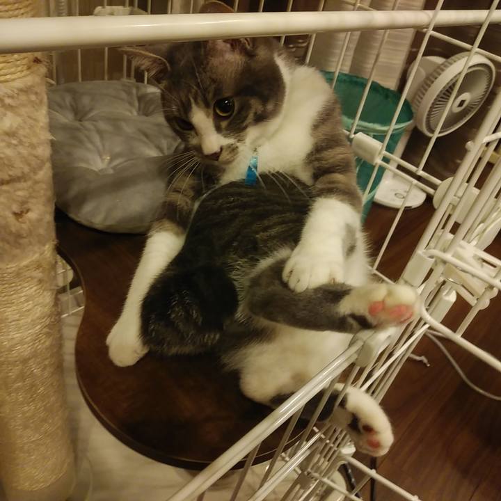 9c80f8e7 95f9 478e b6df 9c341bb62445 1581777843721