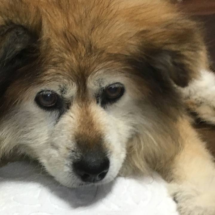 9c81172d 9f60 4b84 be4d cc64b0010518 1612315131350