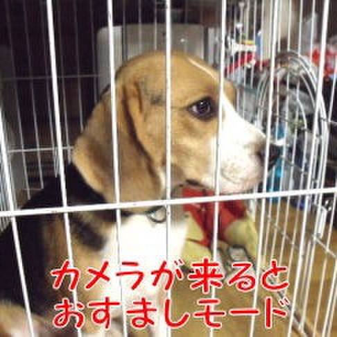 9c8146db dbf5 457f 94bc 9a841a690a25 1695946754765