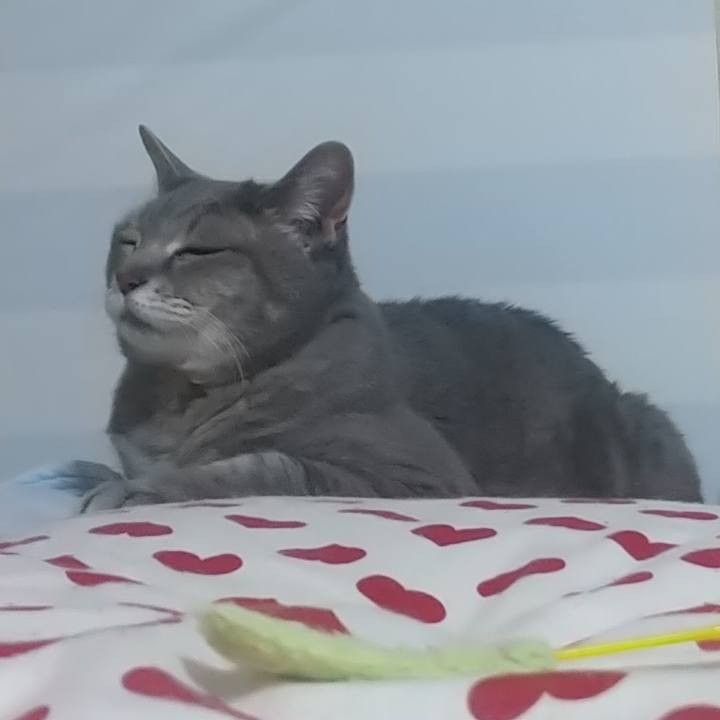 9c817187 fc78 4036 9641 6f6b42bbc021 1623340812828