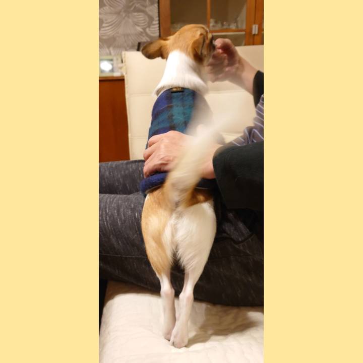 9c81b5b4 9b85 4ff4 9a55 1ab5b23ca103 1636280551230