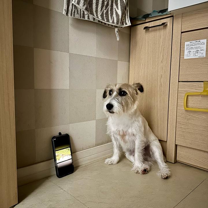 9c81ba8b dc18 4c24 8889 bc8424a031ca 1724076366396