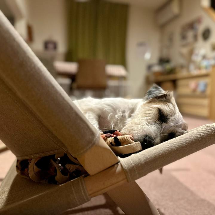 9c81f788 1949 4cd0 a8f7 74d05ccffd36 1700471406746