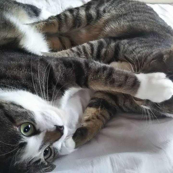 9c8227ae 6e56 4e4e a3ba 98a7307990d6 1615018230953