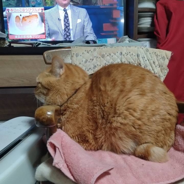 9c823b1c e1e4 4e77 aba6 8d82cf90a025 1705661042263