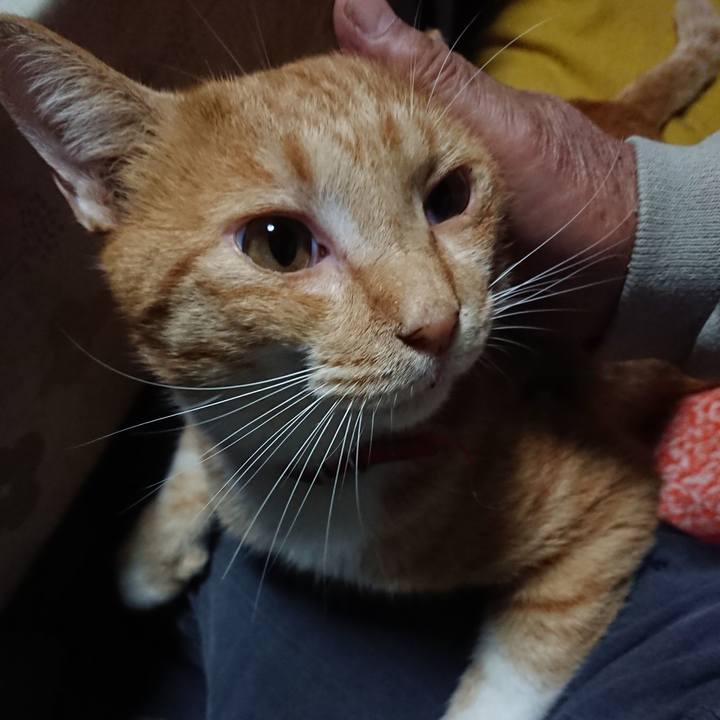 9c823ffd f83e 48f9 b763 6ce00ffb7fa0 1570861807198