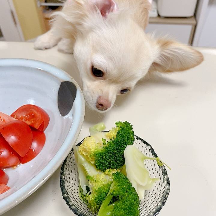 9c825ef8 7522 470b 95ce ad832883c014 1615260540649