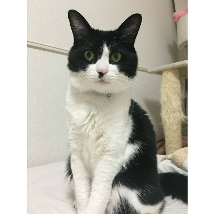 9c82855d cd7a 47a3 8dcd 527ab2735408 1555932803227