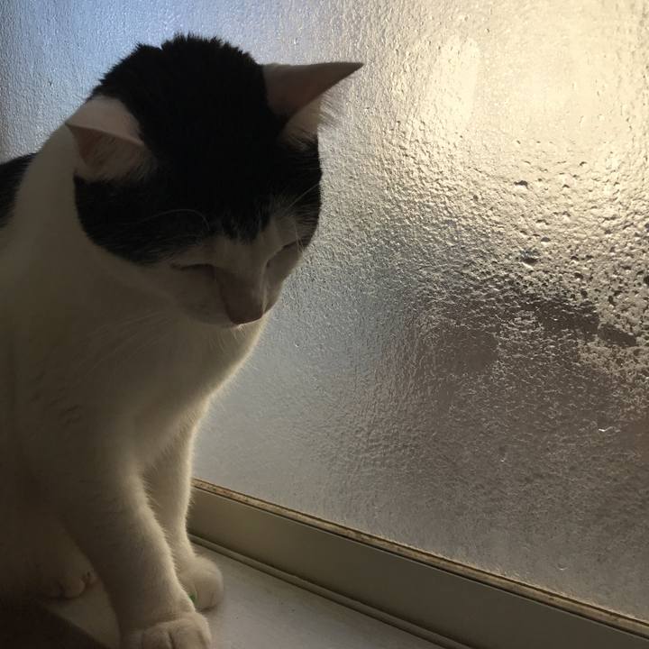 9c82af48 4364 41a9 88e1 2c131ce883f3 1544657221598