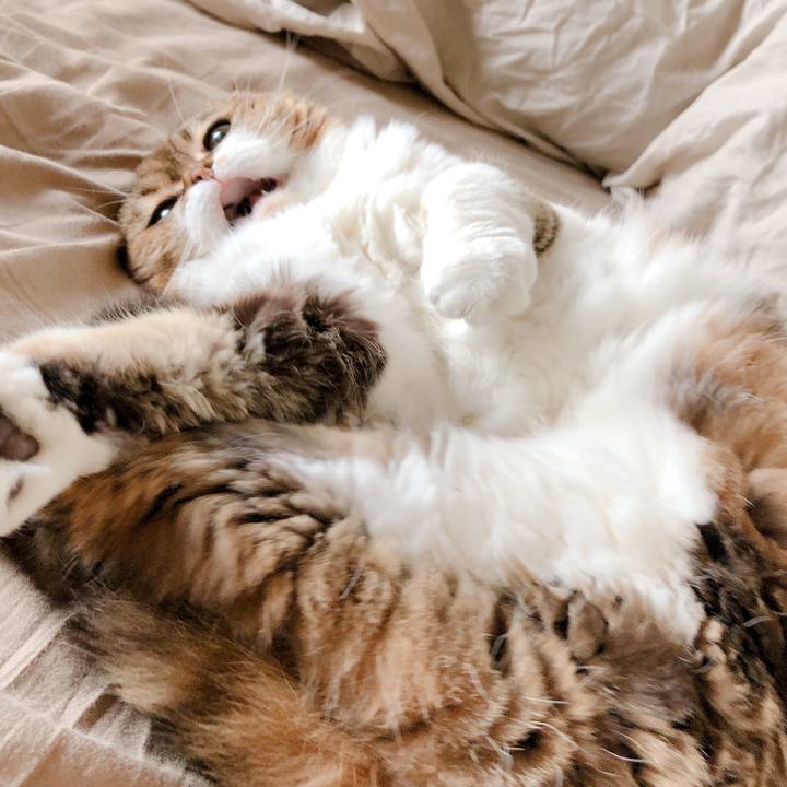 9c82dd64 de6a 4321 ab80 475ee412fb76 1561694454056