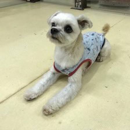 9c82ddec 2680 4789 aa44 e23ec7fad615 1573732507520