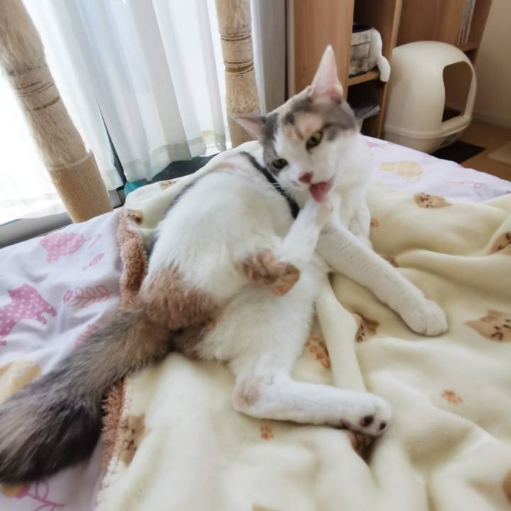 9c82ebe5 fc90 489a 9221 b5fb6343ad92 1622384672010