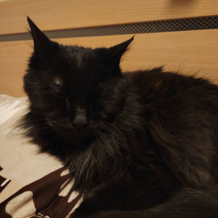 9c82fc3d dfb6 44a0 af91 7026dcb196f3 1772382007213