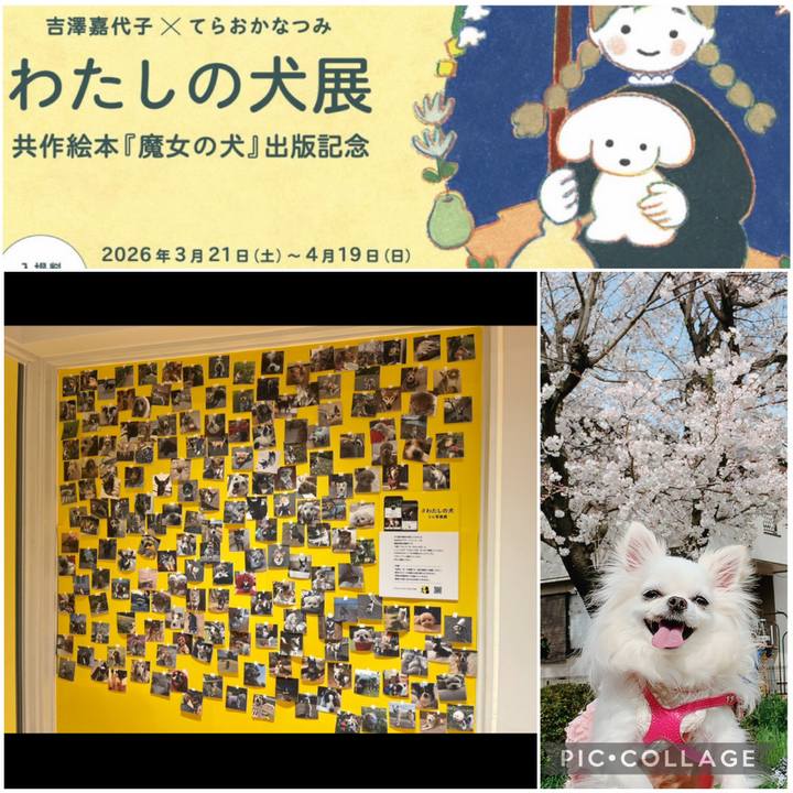 9c831672 e5dc 4634 a0ac 6e889f856142 1774142608081