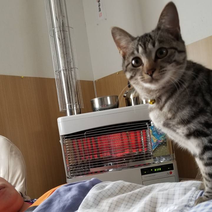 9c8373fe 2142 4f11 bb61 e1fe59eba1a5 1671861367381