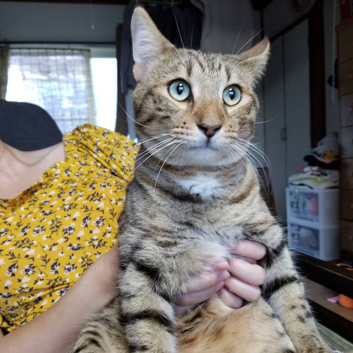 9c839c5b 9480 47e4 8407 a95b7a38d50f 1599734577621