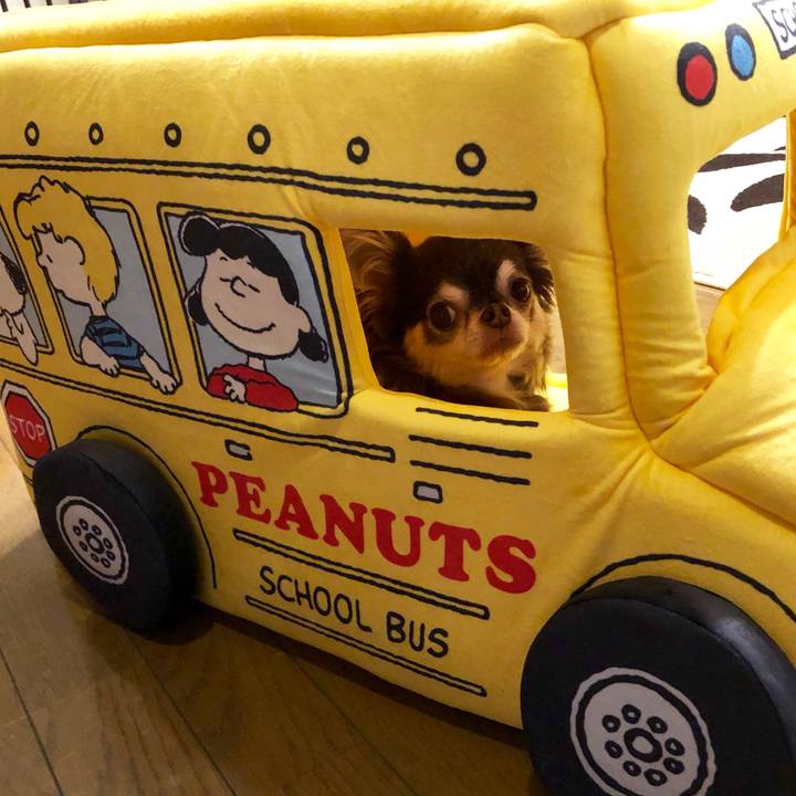 9c839e15 b6bf 4533 baa5 13852e19e3bf 1534644829451