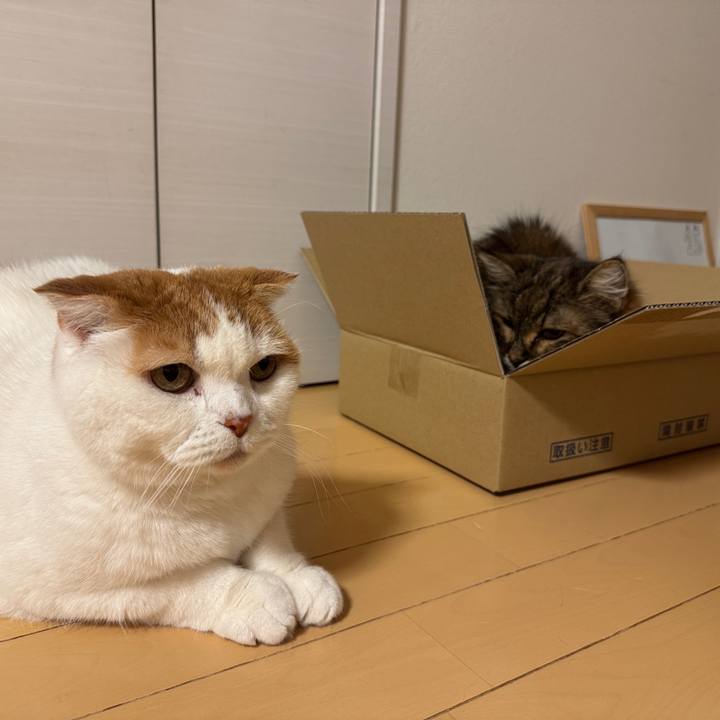 9c83af3a 4f6b 45ec af77 ce87148ebb5c 1774445188517