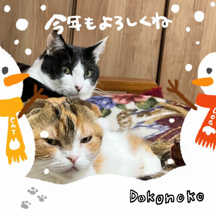 9c83c45f 0202 41e2 8bad a97f900c2937 1704107704201