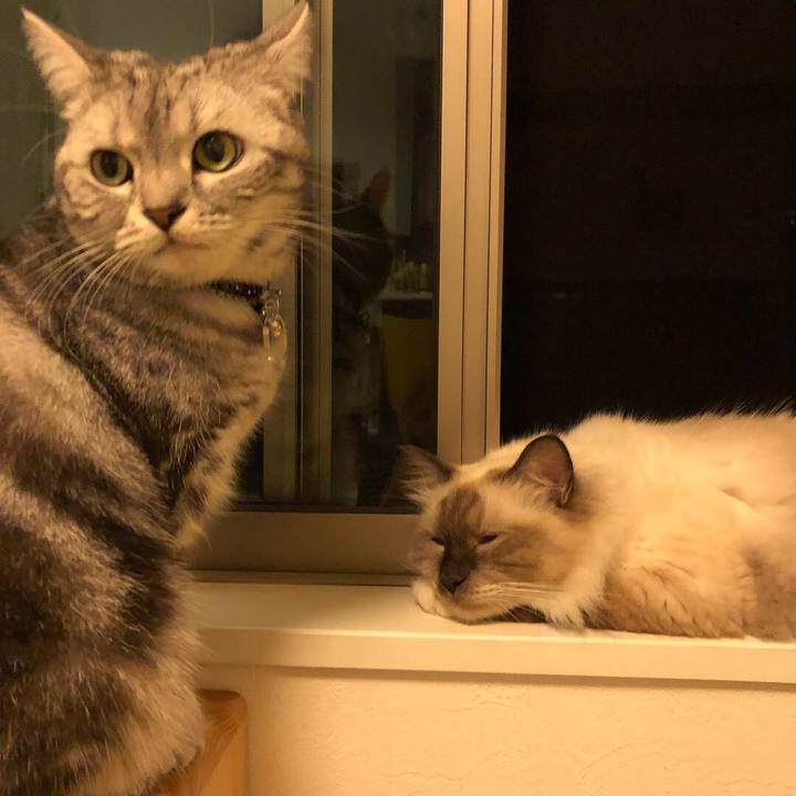 9c84487a 52f9 4efe 97af c4faf22bfebd 1541468725535