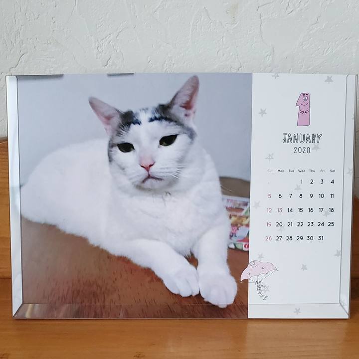 9c844c8d f11f 47f0 99d6 ed54310d5220 1577947428861