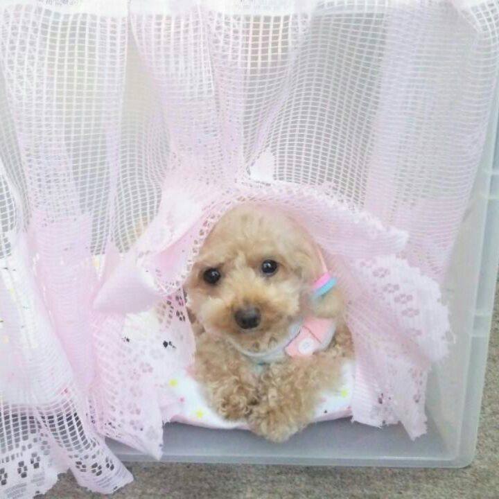 9c8486ea 1968 444d ac57 5b8dd6b4b143 1535530075783