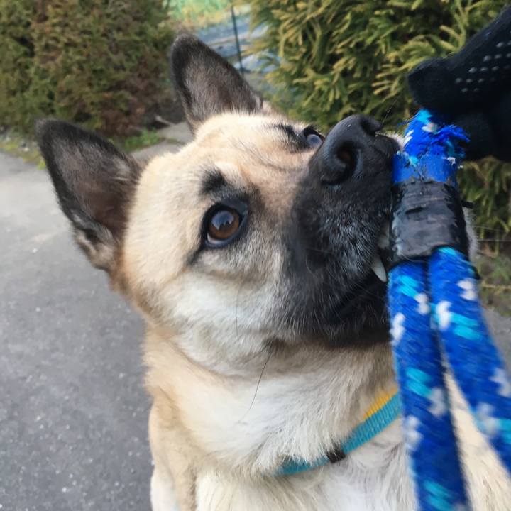 9c849447 b3b7 49d3 9ee7 b6de7938578f 1512216997052