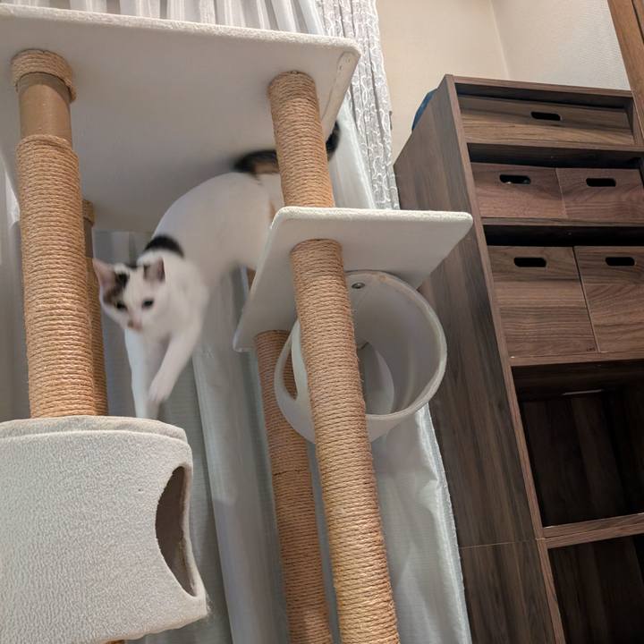 9c852113 5078 4d92 a988 886726912331 1757569118056