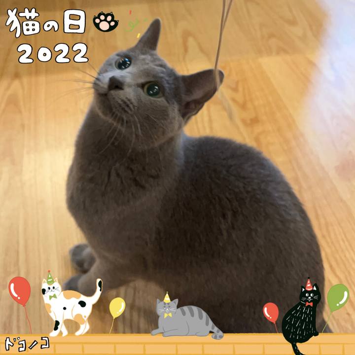 9c85460e 4217 4c0b b0da 4c70313a9719 1645493419219