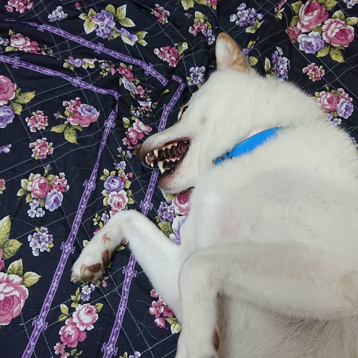 9c8564af 4110 4102 bc28 b4633918c83e 1568643373998