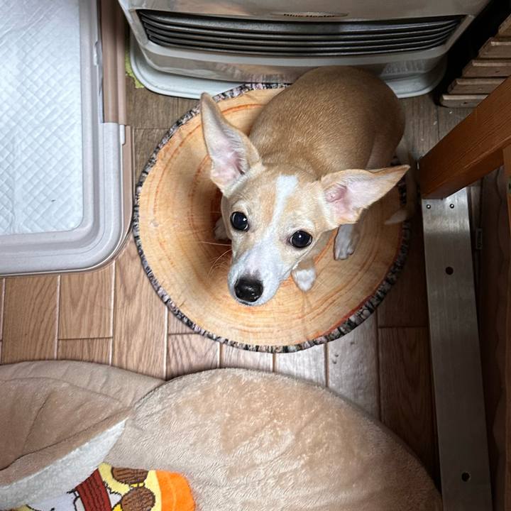 9c85a12b 6301 4ec4 ae39 720d067be4bf 1669715159389