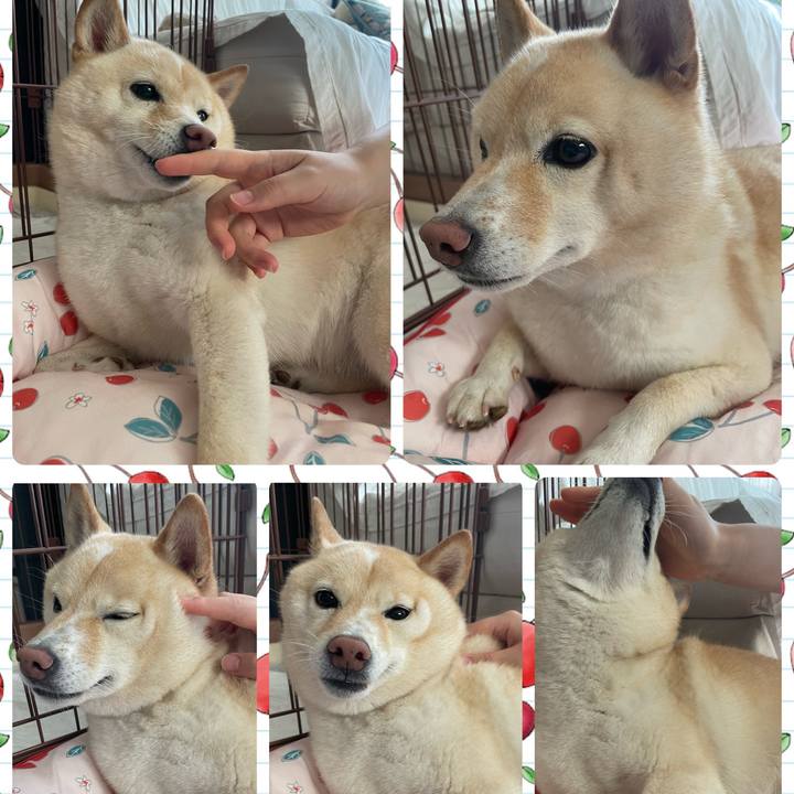 9c85c648 023f 4e0b 9bf8 a73e1f962ec3 1694995446958