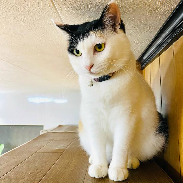 9c85e874 d8c9 4ff7 acaf 5ebf73170e04 1692020814929