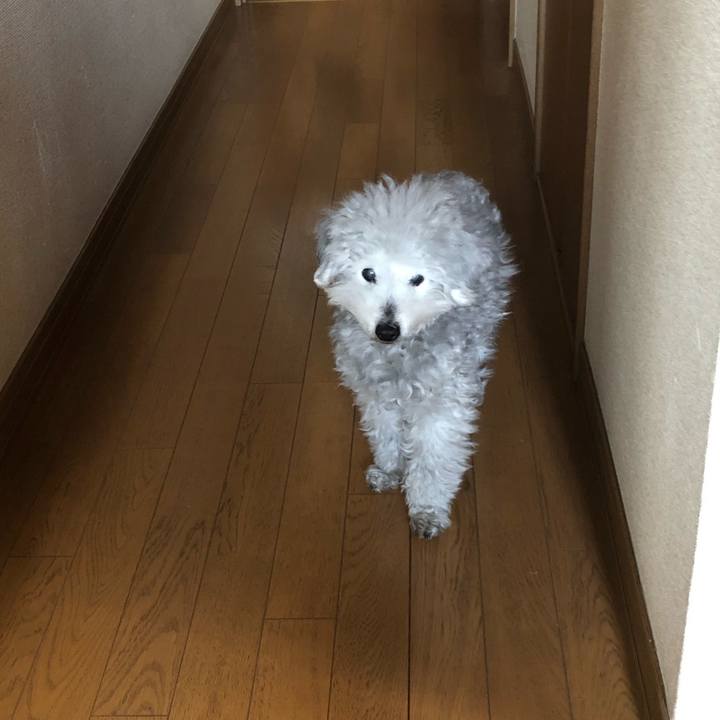 9c85fd98 386a 4e43 aa88 d6b252a7db24 1615939226305