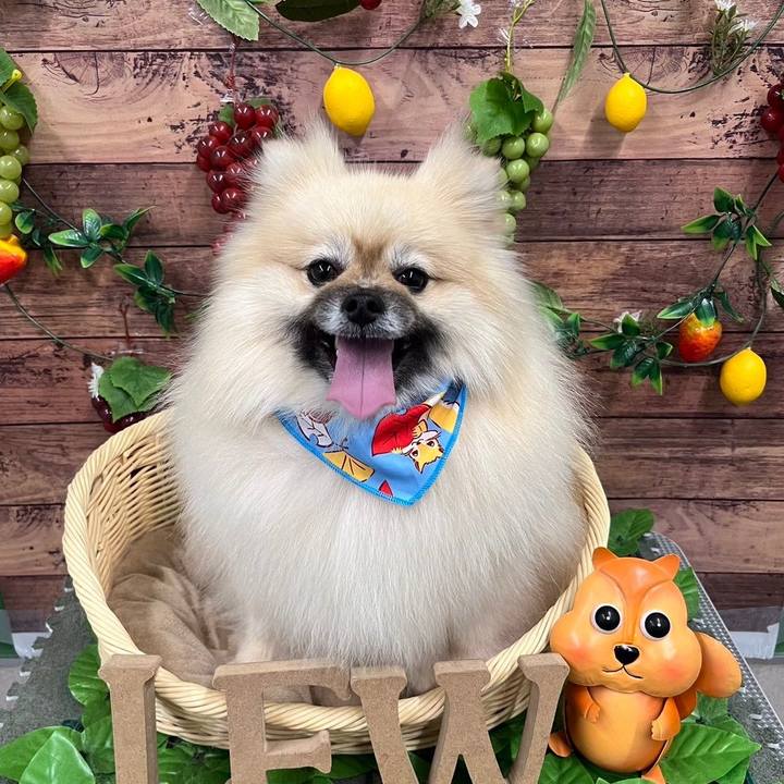 9c85ff3f f103 43e6 9583 bf1661e99b37 1725533823765