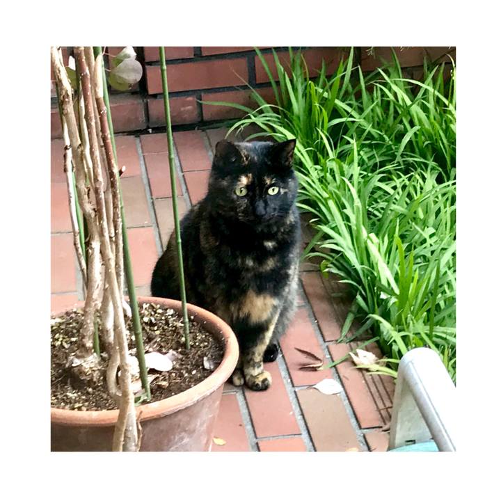 9c860f4f dc52 4941 80d8 542ed3f57a5d 1551491540059