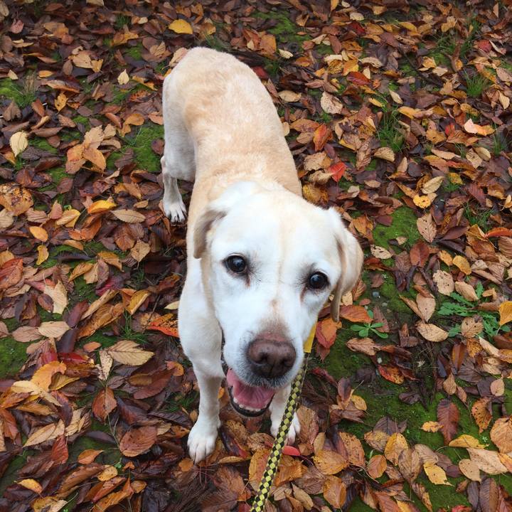 9c8616a6 d842 46f8 b3cc 386d9f657adc 1542152297784