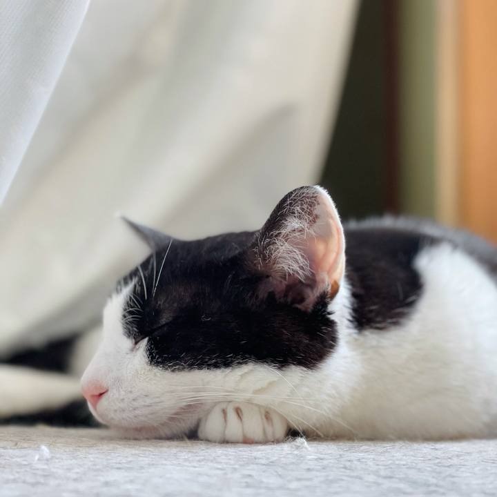 9c867ffb 1b36 4b1e bcbe 261262d53821 1624765479941