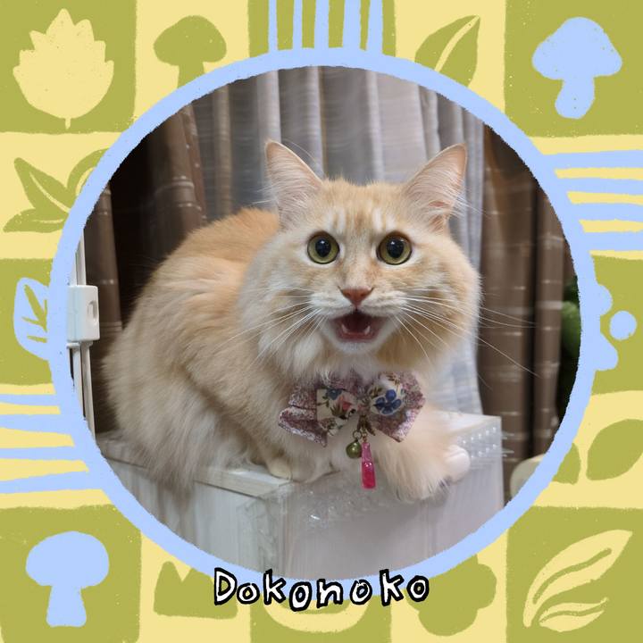 9c8699d3 412a 401a be16 ea8e3c7f4a9f 1761127453447