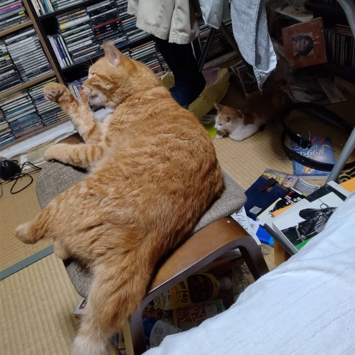 9c86ca76 5722 43cf a040 626ef562f2ae 1726315206568